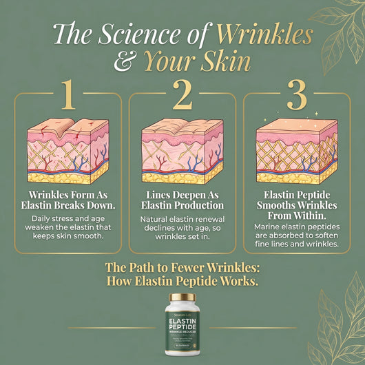 Elastin Peptide Wrinkle Reducer Formula